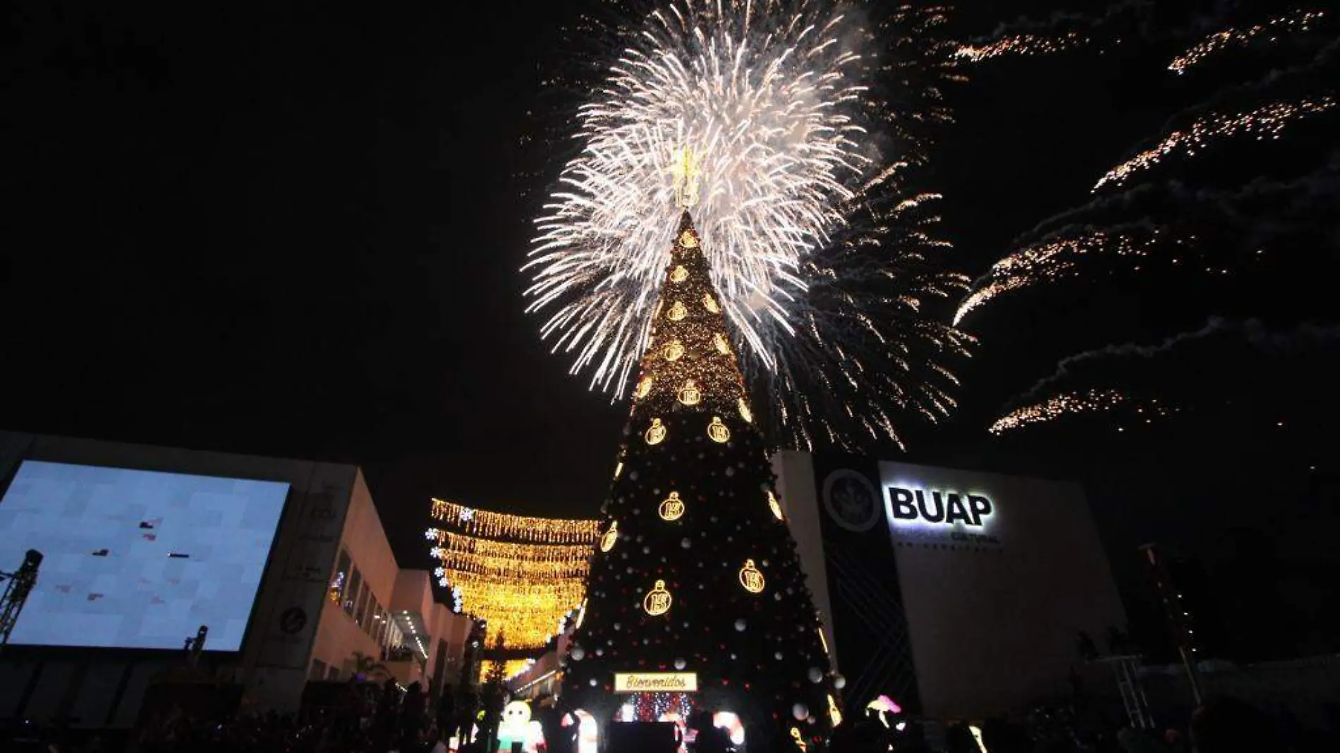 Cientos de poblanos asisten al encendido del Árbol de Navidad en el CCU BUAP